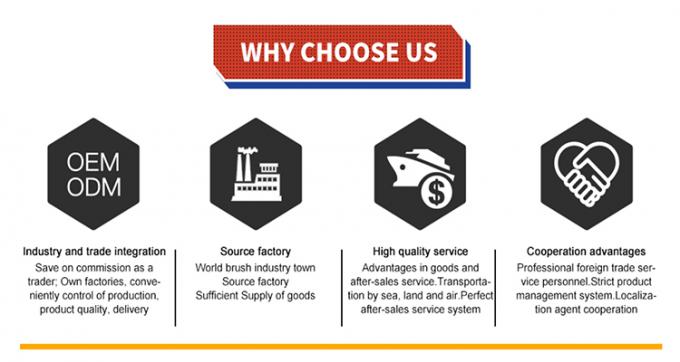 Única cabeça da escova telescópica de Fed Pole Solar Panel Cleaning da água 9